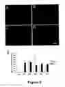 Fig. 07 - Methods for treating demyelination disorders