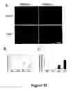 Fig. 13 - Methods for treating demyelination disorders