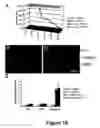 Fig. 16 - Methods for treating demyelination disorders