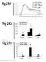 Fig. 22 - Methods for treating demyelination disorders