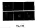 Fig. 33 - Methods for treating demyelination disorders
