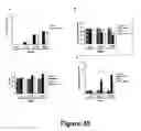 Fig. 36 - Methods for treating demyelination disorders