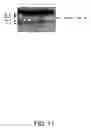 Fig. 19 - Therapeutic agents comprising pro-apoptotic proteins