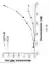 Fig. 35 - Therapeutic agents comprising pro-apoptotic proteins