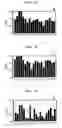 Fig. 03 - Method for enhancing efficacy of preparation of monoclonal antibody