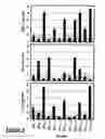 Fig. 05 - Peptide epitope-based vaccine for treating Herpes Simplex Virus infections and related diseases