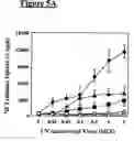 Fig. 06 - Peptide epitope-based vaccine for treating Herpes Simplex Virus infections and related diseases