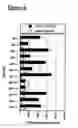 Fig. 08 - Peptide epitope-based vaccine for treating Herpes Simplex Virus infections and related diseases