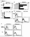 Fig. 02 - Modulation of NKG2D for treating or preventing solid organ allograft rejection