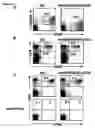 Fig. 09 - Modulation of NKG2D for treating or preventing solid organ allograft rejection