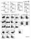 Fig. 14 - Modulation of NKG2D for treating or preventing solid organ allograft rejection