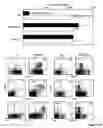 Fig. 15 - Modulation of NKG2D for treating or preventing solid organ allograft rejection