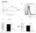 Fig. 22 - Modulation of NKG2D for treating or preventing solid organ allograft rejection