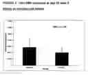 Fig. 05 - Composition