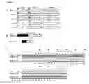 Fig. 02 - Live and subunit vaccines