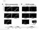 Fig. 03 - Live and subunit vaccines