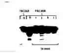 Fig. 07 - Live and subunit vaccines