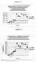 Fig. 02 - Nanofluidized B-12 composition and process for treating pernicious anemia