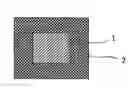 Fig. 01 - In vivo grafting material