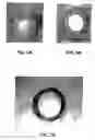 Fig. 06 - Coating for implantable devices and a method of forming the same