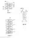 Fig. 06 - METHODS AND DEVICES FOR MAINTAINING SURGICALLY CREATED CHANNELS IN A BODY ORGAN