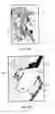 Fig. 12 - METHODS AND DEVICES FOR MAINTAINING SURGICALLY CREATED CHANNELS IN A BODY ORGAN