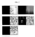 Fig. 02 - Inositol-based molecular transporters and processes for the preparation thereof