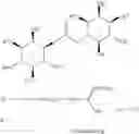 Fig. 13 - Inositol-based molecular transporters and processes for the preparation thereof