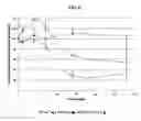 Fig. 06 - Blends of temperature sensitive and anionic polymers for drug delivery