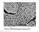 Fig. 04 - Nanoparticles for delivery of a pharmacologically active agent