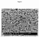 Fig. 07 - Nanoparticles for delivery of a pharmacologically active agent