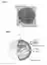 Fig. 07 - Carrier particles