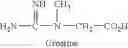 Fig. 02 - Nutritional composition for increasing creatine uptake in skeletal muscle