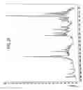 Fig. 22 - Efficient method for producing compositions enriched in total phenols