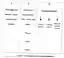 Fig. 02 - Universal protein formulation meeting multiple dietary needs for optimal health and enhancing the human immune system