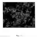Fig. 04 - Process for the preparation of an edible dispersion comprising oil and structuring agent