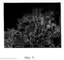 Fig. 10 - Process for the preparation of an edible dispersion comprising oil and structuring agent