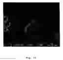 Fig. 11 - Process for the preparation of an edible dispersion comprising oil and structuring agent
