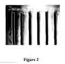 Fig. 03 - Method and apparatus for mesoscale deposition of biological materials and biomaterials