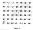 Fig. 08 - Method and apparatus for mesoscale deposition of biological materials and biomaterials