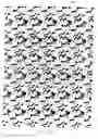 Fig. 30 - Carpet and method of making same