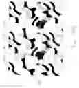 Fig. 31 - Carpet and method of making same