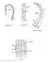 Fig. 08 - Embossed product including discrete and linear embossments