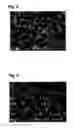Fig. 03 - Rubber composition for studless tire tread