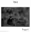 Fig. 05 - Magnetic recording medium and magnetic storage