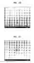Fig. 03 - Polymer electrolyte membrane and method of producing the same