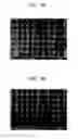 Fig. 04 - Polymer electrolyte membrane and method of producing the same