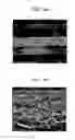 Fig. 06 - Polymer electrolyte membrane and method of producing the same