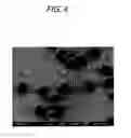Fig. 04 - Aspherical-polymer fine particles and production method thereof, and method for producing lithographic printing plate, ink composition and electrophoretic particle composition