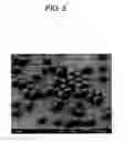 Fig. 05 - Aspherical-polymer fine particles and production method thereof, and method for producing lithographic printing plate, ink composition and electrophoretic particle composition